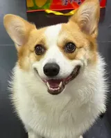 彩色微写实 原照片