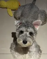 Q版彩色卡通 原照片