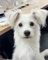 简约线条 原照片